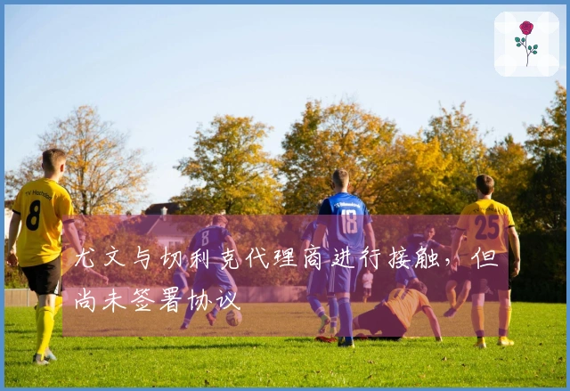 尤文与切利克代理商进行接触，但尚未签署协议