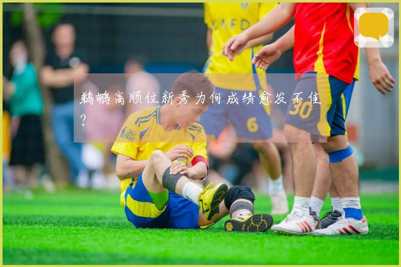 鹈鹕高顺位新秀为何成绩愈发不佳？