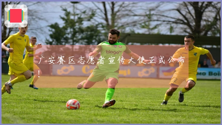 广安赛区志愿者宣传大使正式公布！