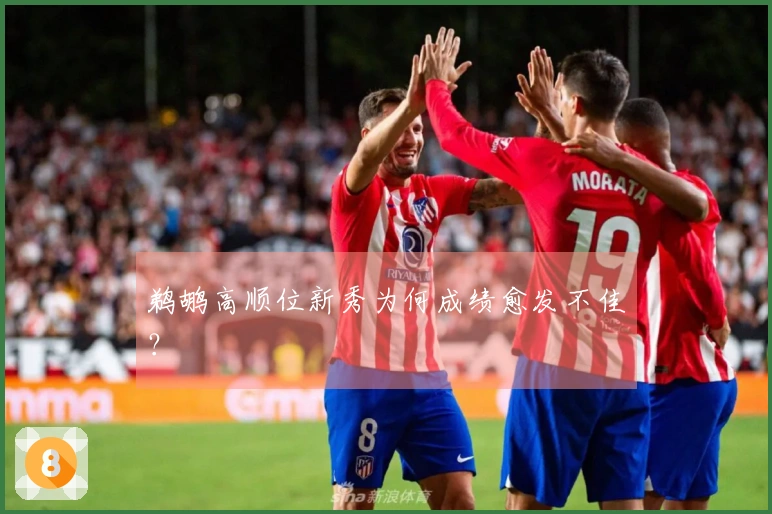 鹈鹕高顺位新秀为何成绩愈发不佳？